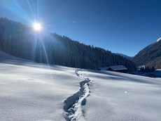 Landwasser-Trail (oua_55299623_image)